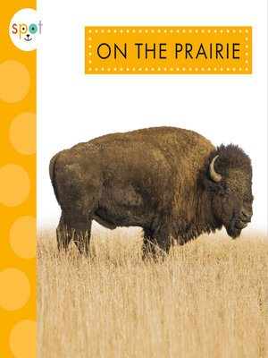 cover image of On the Prairie